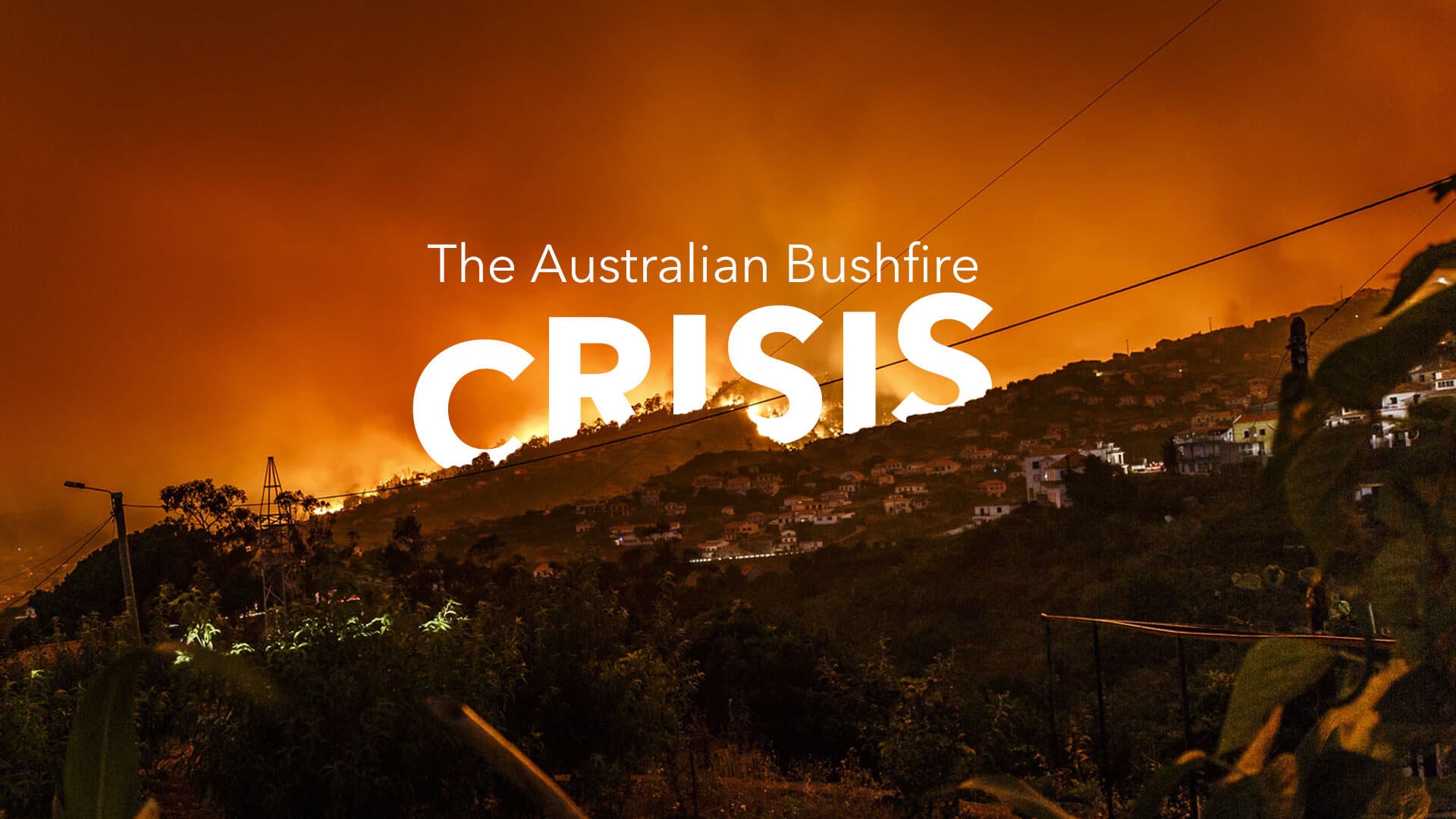 The Australian Bushfire Crisis